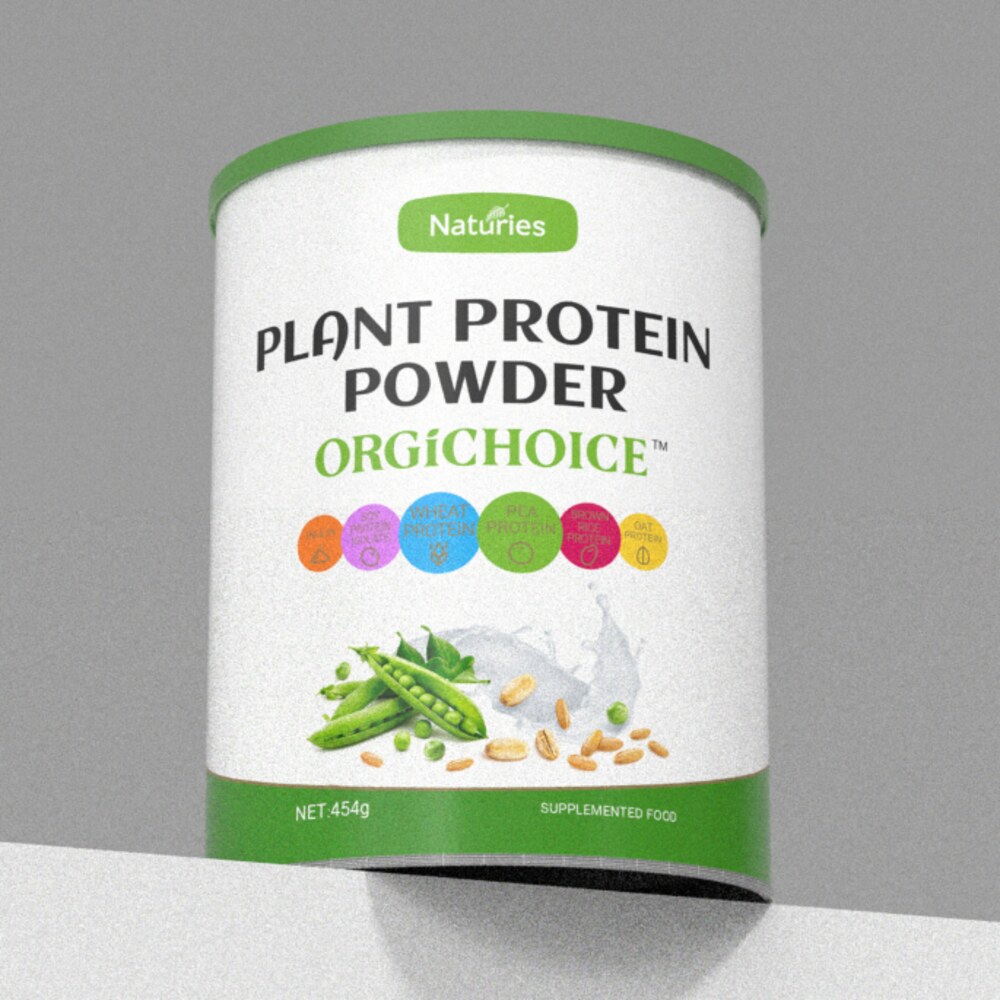 Orgichoice Plant Protein Powder 454g