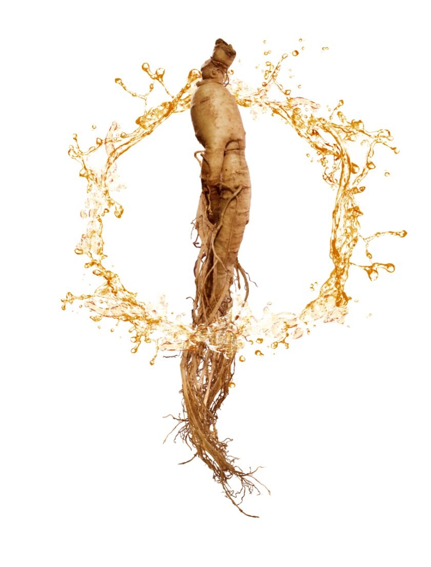 Ginseng root